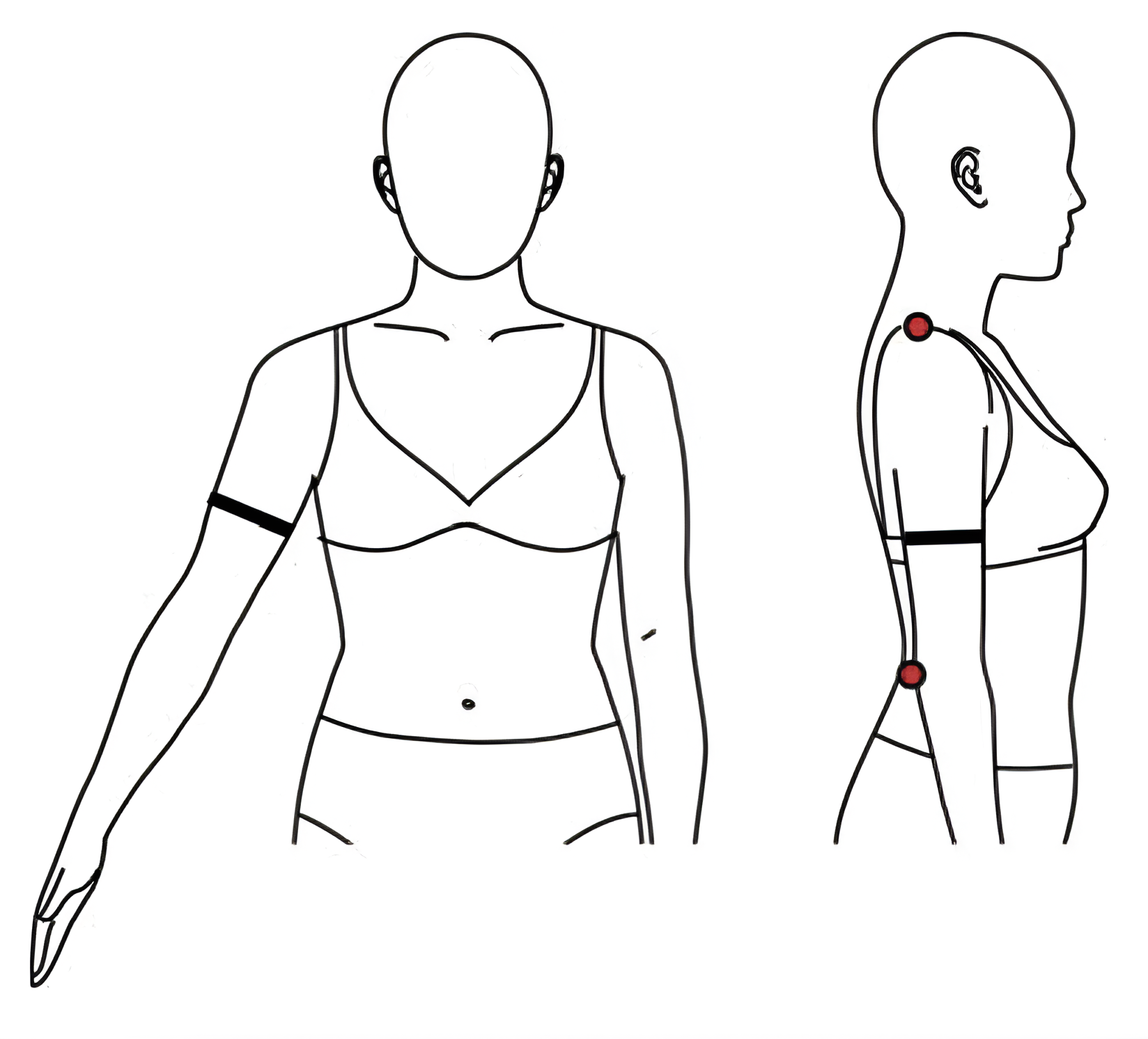 body-measurements-form | sizeez